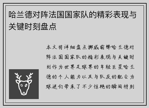 哈兰德对阵法国国家队的精彩表现与关键时刻盘点